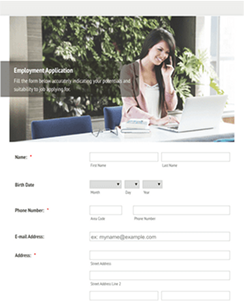 Job Application
